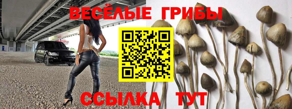 Славянск-на-Кубани  Галлюциногенные грибы GOLDEN TEACHER  Вход с VPN 