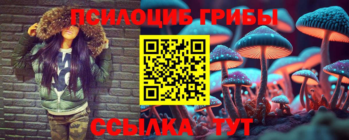 Псилоцибиновые грибы ЛСД Славянск-на-Кубани